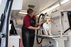 🐾 professional pet stylists 🐾 stress free service 🐾 grooming inside equipped van 📞 (416)828 4168 💻 mobilepetspa.ca g.co/kgs/yvxcg1. Mobile Dog Grooming Mobile Dog Groomers