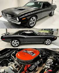 Image result for Black Velvet 1971 Barracuda