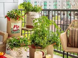 Growing vegetables in pots is easy and low maintenence, but there are a few guidelines. Container Vegetable Gardening Basics Garden Design