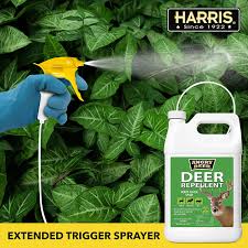 Deer repellent spray for flowers. Buy Harris Deer Repellent Long Lasting Ready To Use Plant Safe Formula 128oz Online In Indonesia B083q12sgf
