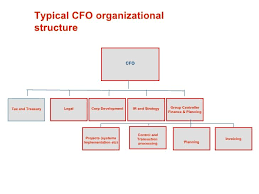 Accounting Department Organization Chart Google Search