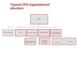 accounting department organization chart google search