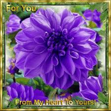 Thinking of you flowers gif. Good Morning Gif For Family