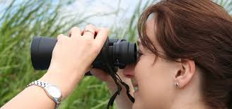 We're looking for a few great volunteers!