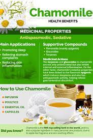 Health Benefits Of Chamomile Tea Chamomile Tea Benefits Sore Throat Tea Tea Benefits