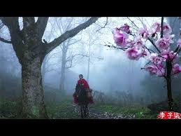 riding a horse to find magnolia liliflora blossoms for you 遛马寻花 摘下开得正盛的辛夷给喜欢的你们 liziqi channel youtube spring scenery instagram posts blossom