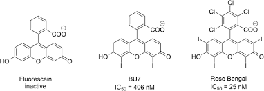 Find desmond ho's contact information, age, background check, white pages, criminal records, photos, relatives known as: Molecular Structural Functional And Pharmacological Sites For Vesicular Glutamate Transporter Regulation Springerlink