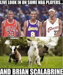 Nba Memes The Goat Facebook