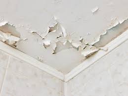 Peeling paint means bad adhesion on either primer or top coat. How To Fix Peeling Paint On A Ceiling In 4 Steps Tribble Painting