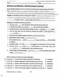 During meiosis, a few chromosomes swap portions of. Mitosis And Meiosis Reinforcement Activity Answers Fill Online Printable Fillable Blank Pdffiller