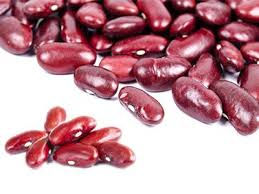 Chili con carne isn't toxic, but it will badly upset your cat's stomach. Can Dogs Eat Beans Healthy Beans For Dogs Petmoo
