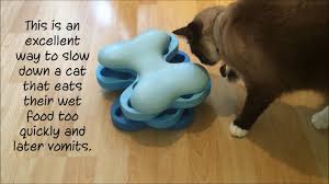 Slow feeder bowl because my cat is just gulping her food too fast. Wet Food Puzzles Food Puzzles For Cats