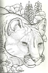 We did not find results for: Cougar