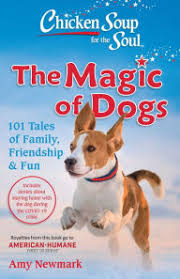 If that's chicken soup then i'm the ceo of amazon. Chicken Soup For The Soul The Magic Of Cats 101 Tales Of Family Friendship Fun By Amy Newmark Paperback Barnes Noble