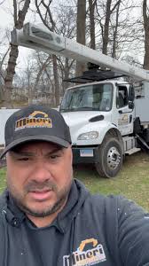 Tree Work Done Right!, Today, the Mineri Landscaping crew took care of two  neighboring properties, removing hazardous trees and making their homes  safer. One of the trees was completely rotted and ...