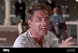 Elmer hi-res stock photography and images