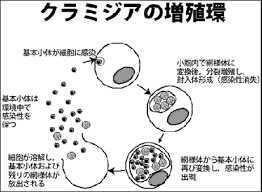 For faster navigation, this iframe is preloading the wikiwand page for オウム真理教事件. ã‚ªã‚¦ãƒ ç—…