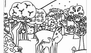 Ein weiteres bild von katze ausmalbild einfach: Dschungelbuch Malvorlagen Instagram 28 Images Malvorlagen Disney Figuren Zum Ausmalen Ausmalbild Schlange Kaa Kinder Ausmalbilder Ausmalbilder Dschungelbuch Kika Dschungelbuch Malvorlagen Instagram Zeichnen Und F 228 Rben Malvorlagen Gratis