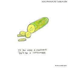 Cheesy Birthday Pick Up Lines What S Your Best Vegan Pick Up Line Cucumber Veganpuns Pick Up Lines Funny Funny Food Puns Pick Up Lines