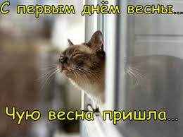 С первым днем лета всех (1 видео). Kartinki Pervyj Den Vesny Krasivye I Prikolnye Otkrytki S Nadpisyami K 1 Marta