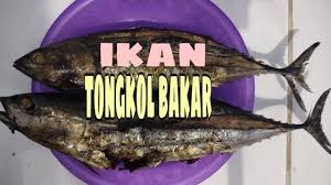 Ratausan warga kabupaten jember keracunan ikan tongkol. Makan Sama Ikan Tongkol Bakar Sambal Kecap Youtube