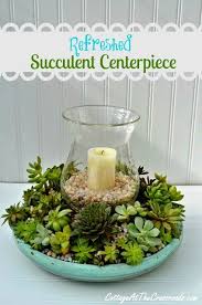 Per preparare il couscous ai frutti di mare dovrete cominciare dalla pulizia dei molluschi e dei crostacei. Succulent Centerpiece Live Creatively Inspired Succulent Centerpieces Succulent Gardening Succulents