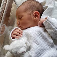 Fertility at Parsley Health: 3 Members Share Their Journeys