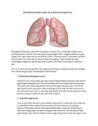 Berbagai organ dan jaringan sistem respirasi tersebut. Gambar Paru Paru Manusia Dan Fungsinya
