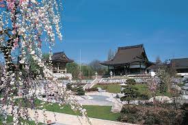 Apartments gelten als sicherer und. Das Japanische Viertel In Dusseldorf Urlaubsguru
