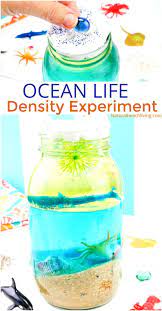 Combine art and science in this fun and easy activity for kids using baking soda and vinegar. Ocean Science For Kids Easy Ocean Life Experiment Kids Love Natural Beach Living