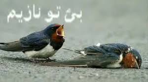 .ونسال الله ان تتعافى الرياضة المغربية لتعود كما كانت بعصرها الذهبي بالثمانينات حيث كان هناك تالق مغربي في كل الرياضات تقريبا. Ù…ÙˆØ§Ù‚ÙŠØª Ø®Ø±ÙˆØ¬ Ø­Ø§ÙÙ„Ø§Øª Ø§Ù„ÙˆØ³Ø§Ù… Ø§Ù„Ø°Ù‡Ø¨ÙŠ Ù…Ù† Ù…Ø¯ÙŠÙ†Ø© ØªØ·ÙˆØ§Ù† Ø¯ÛŒØ¯Ø¦Ùˆ Dideo