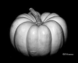 Edward weston is a master of still life photography, his manipulation of light to highlight shape, texture and form helped bring photography out of the shadow of painting and stand on it's own as a credible art form. Edward Weston Holihair