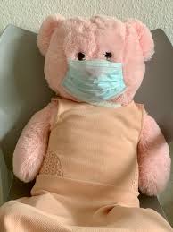 Design photo teddy bears with sweatshirts at cvs photo. Pink Bear Plush Toy On White Textile Photo Free Mask Image On Unsplash