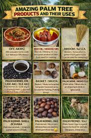 The Historical Importance of Palm Products in Igbo Society || Nnewi City
