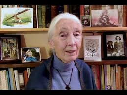 Jane's Living Legacy