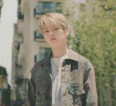 Tmt Skz Famosos Fotos De Perfil Ninos Perdidos