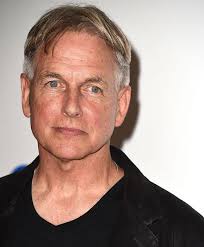 The Sad Downward Spiral Of Kristin Nelson, NCIS Actor Mark Harmon's Late  Sister