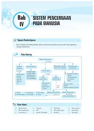 Diposting oleh unknown di 05.06. Bse 1 Bab 4 Sistem Pencernaan Pada Manusia