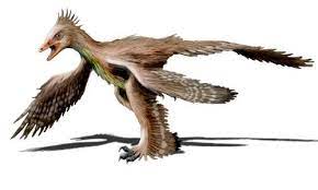 Xiaotingia Zhengi Palaeocritti A Guide To Prehistoric Animals Prehistoric Animals Ancient Animals Prehistoric Creatures