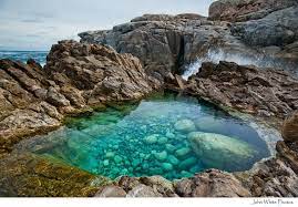 Rock Pool Pool Images Rock Pools Pool Picture