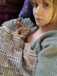 What food works for ibd cats?