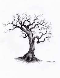 Pin On Tree Drawings