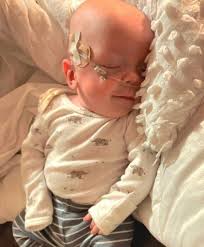 Master Sawyer McCoig, of Sevierville Obituary February 3, 2022