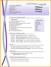 Resultat De Recherche D Images Pour Cv Exemple Secretaire Comptable Secretaire Comptable Comptable Cv Secretaire