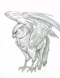 Hippogriff By Lizzy23 On Deviantart Harry Potter Creatures Harry Potter Drawings Harry Potter Tattoos