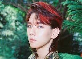 Which K Pop Idol Had The Best Mullet Mullets Mullet Hairstyle Mullet Image