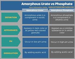 Difference Between Amorphous Urate And Phosphate Compare The Difference Between Similar Terms