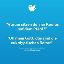 Eukalyptische Reiter Witzige Spruche Lustige Spruche Coole Spruche