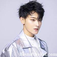 We choose most famous chinese actors according if your favourite famous chinese actors is not taking place on our list. The Most Handsome Chinese Actors 2020 Bestofthelist