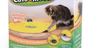 Miskin Kedi Ne Bulsa Yutan Kediler